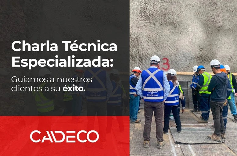 Charla Técnica Especializada: Guiamos a nuestros clientes a su éxito